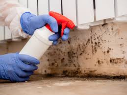 Ardmore, OK Mold Prevention & Removal  Company